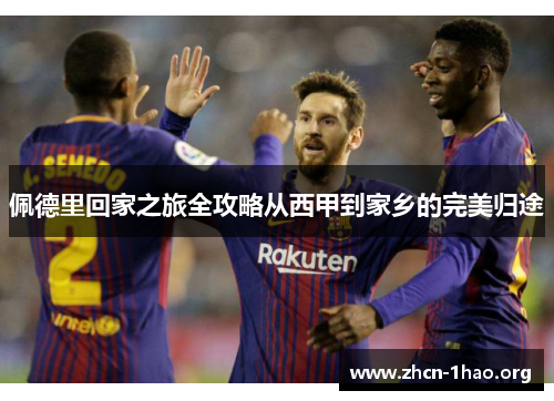 佩德里回家之旅全攻略从西甲到家乡的完美归途