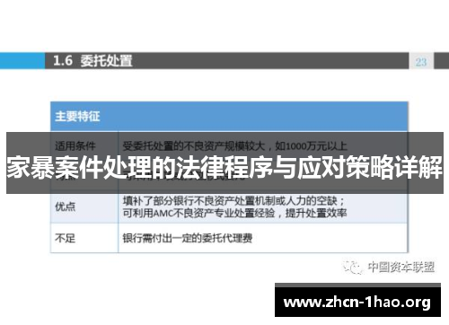 家暴案件处理的法律程序与应对策略详解
