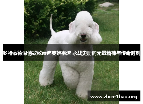 多特蒙德深情致敬泰迪英雄事迹 永载史册的无畏精神与传奇时刻