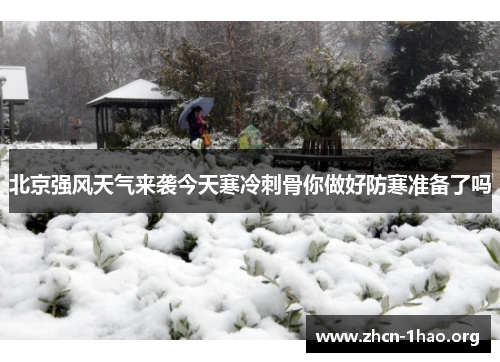 北京强风天气来袭今天寒冷刺骨你做好防寒准备了吗